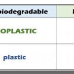 bioplastics-definition-e1530567516103