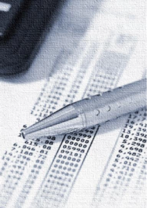 Business Financial Planning – Guarantor Indemnity Plan