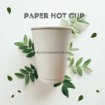 ECO DISPOSABLE DOUBLE WALL PAPER HOT CUP