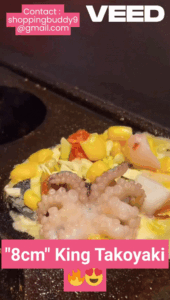 Premium Grade Dual 8cm Giant Takoyaki Grill – Custom Made