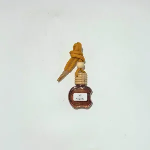 [10ml] WOOBEELAND PROSPERITY Car Diffuser- Orange & Geranium