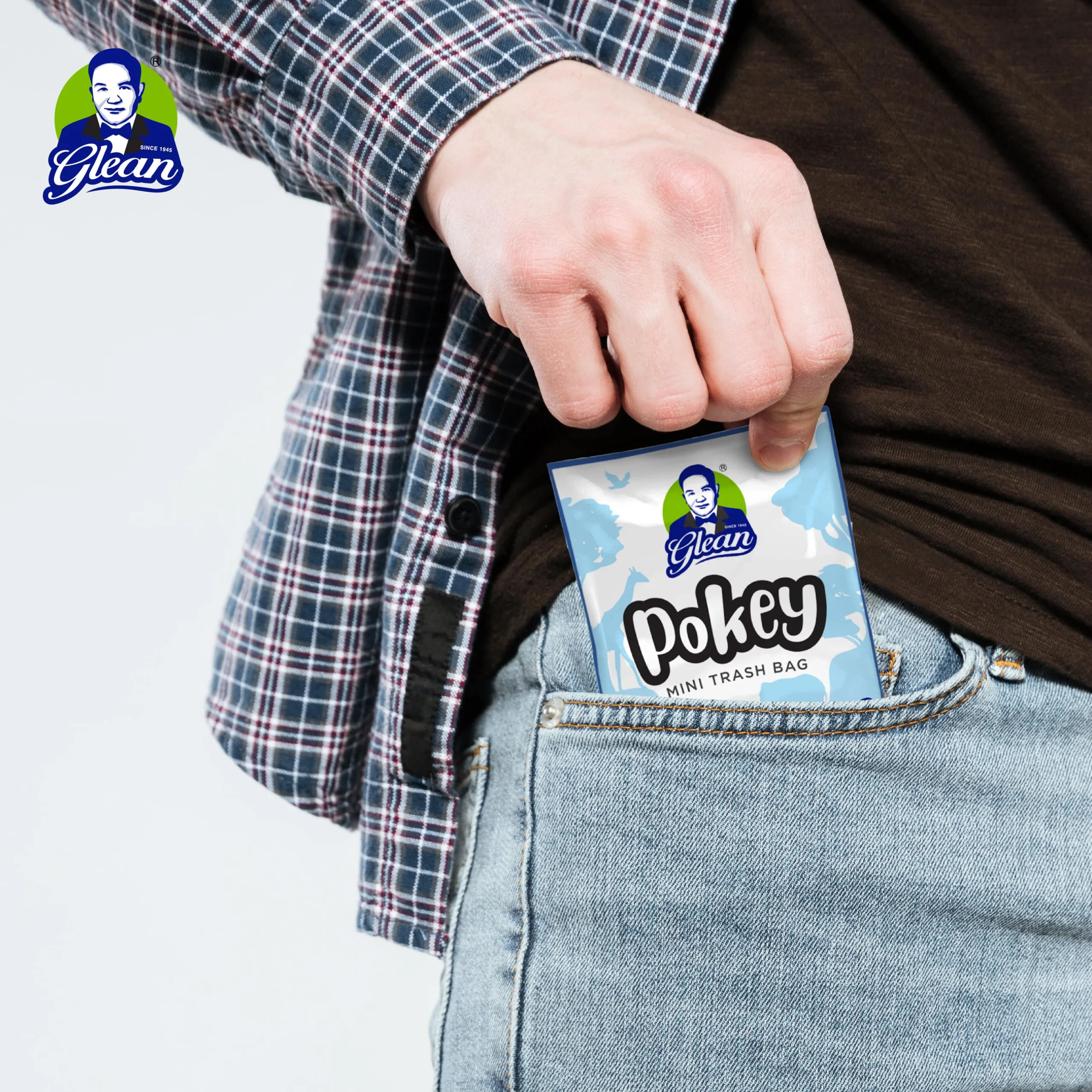 Pokey Digital Poster 2