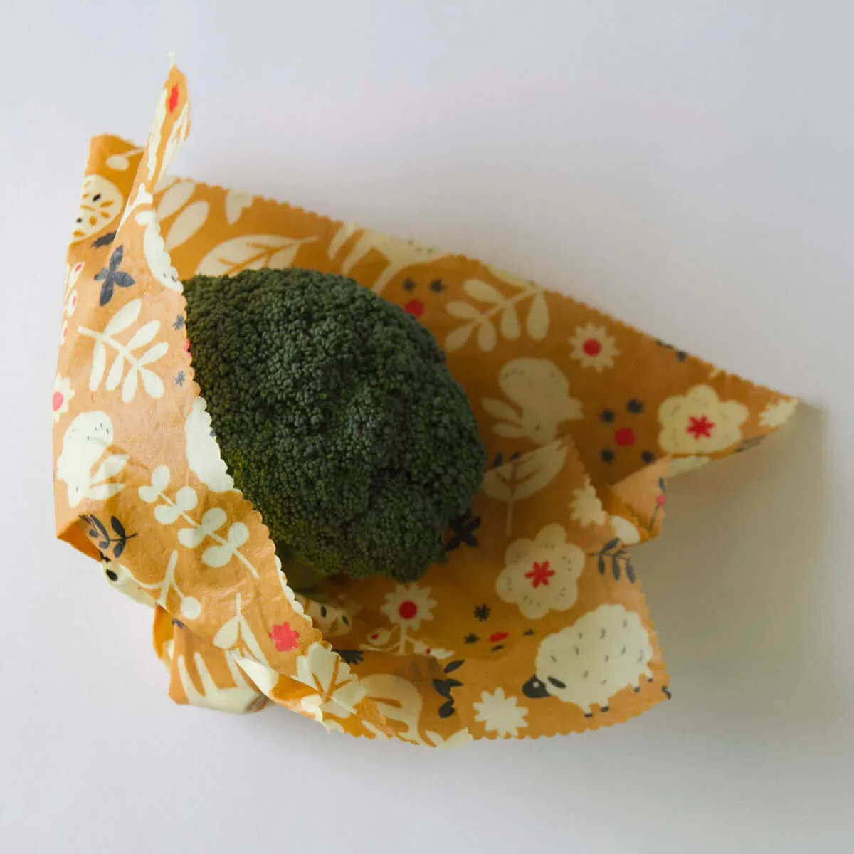 imgi_92_IMG_0289_broccoli_square_lowpix